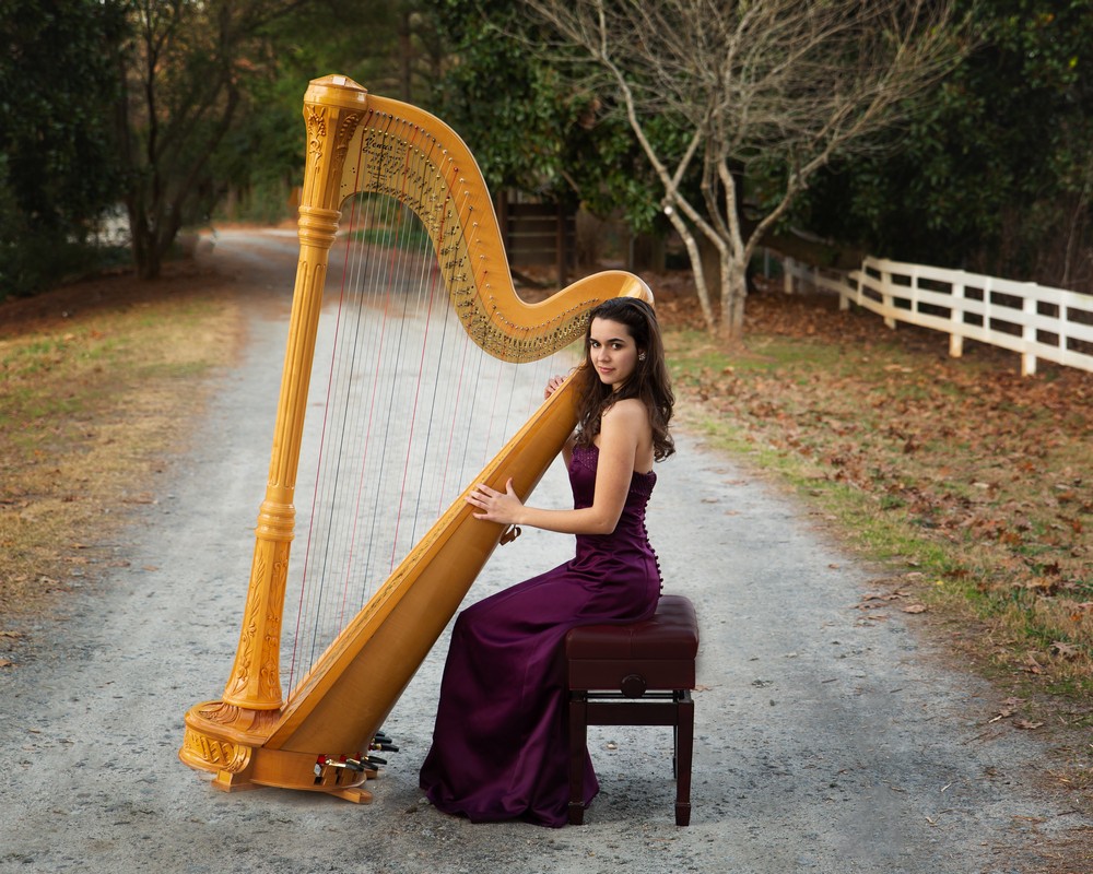 Donations – Houston Harpists