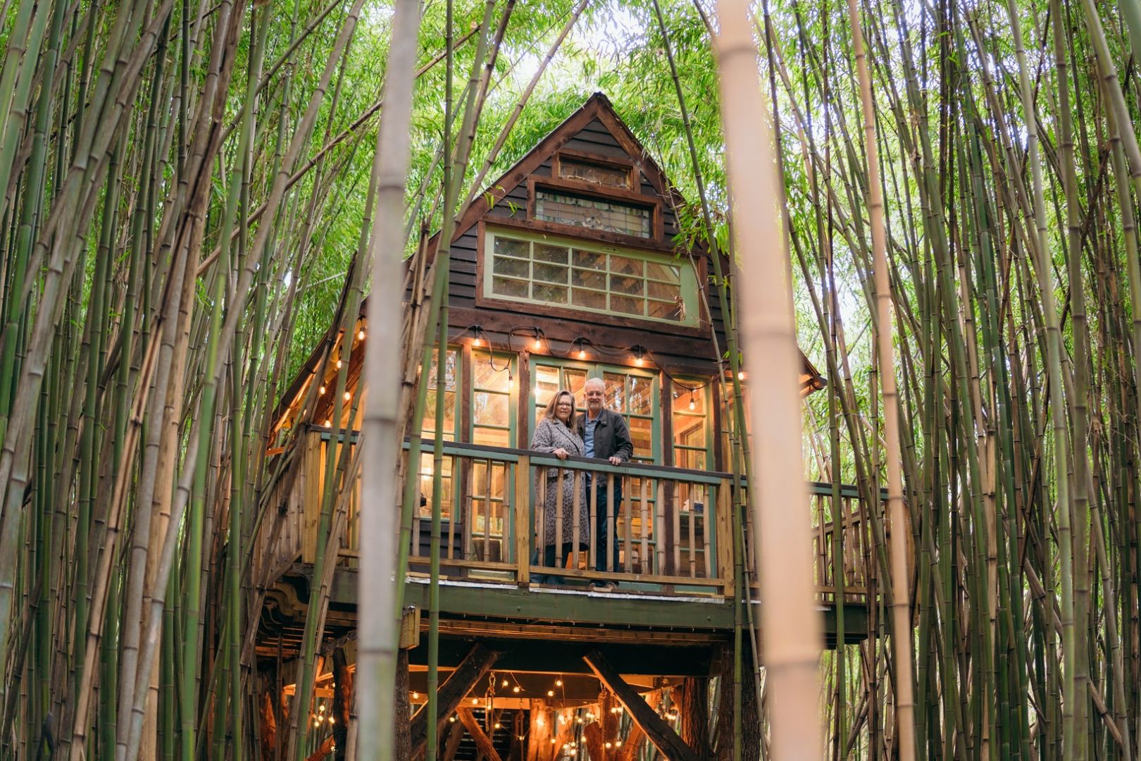 Premium Photo | A Tree House in the Middle of a Forest A lively treehouse  filled with children watching the sunset surrounded by lush green trees AI  Generated