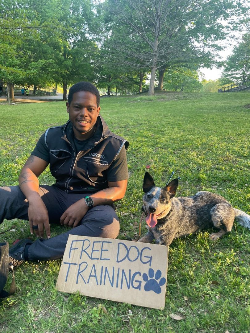 Atlanta hot sale dog trainer