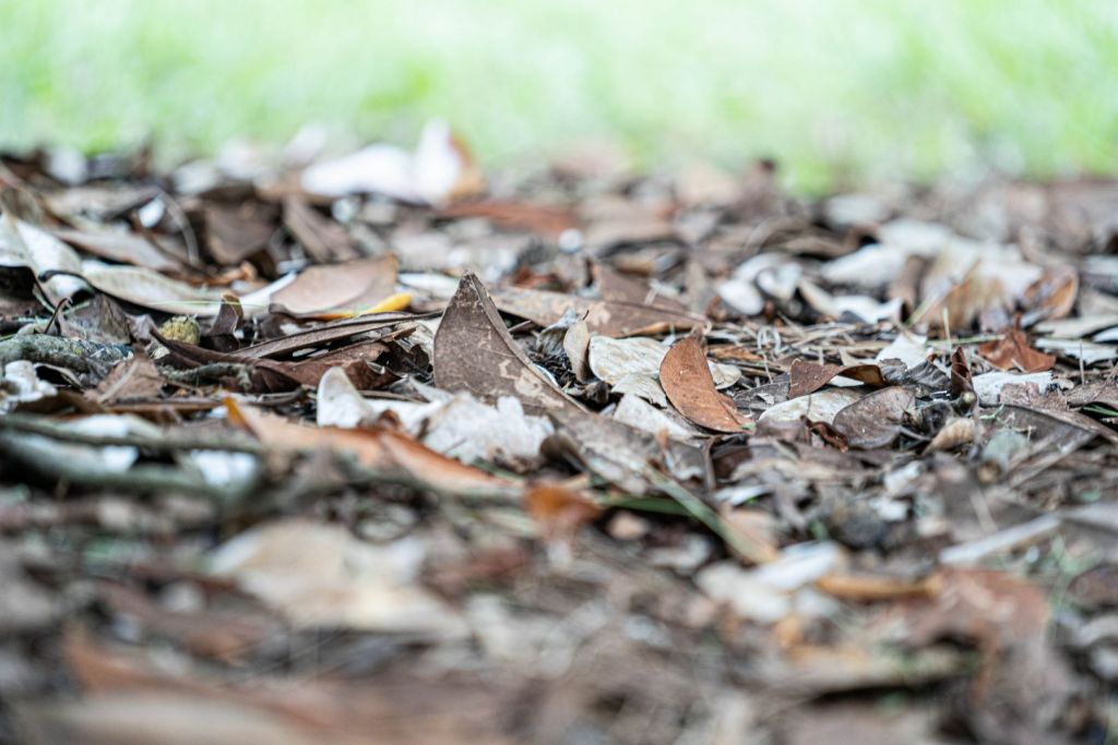 Meet Joshua Cain | Photographer | Videographer | Live Streamer