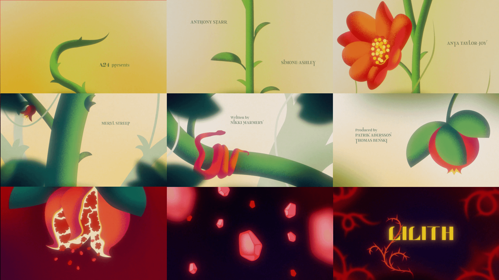 Sequence of illustrations showing plant parts, a caterpillar, and glowing effects with text, ending with a name. 20 words.