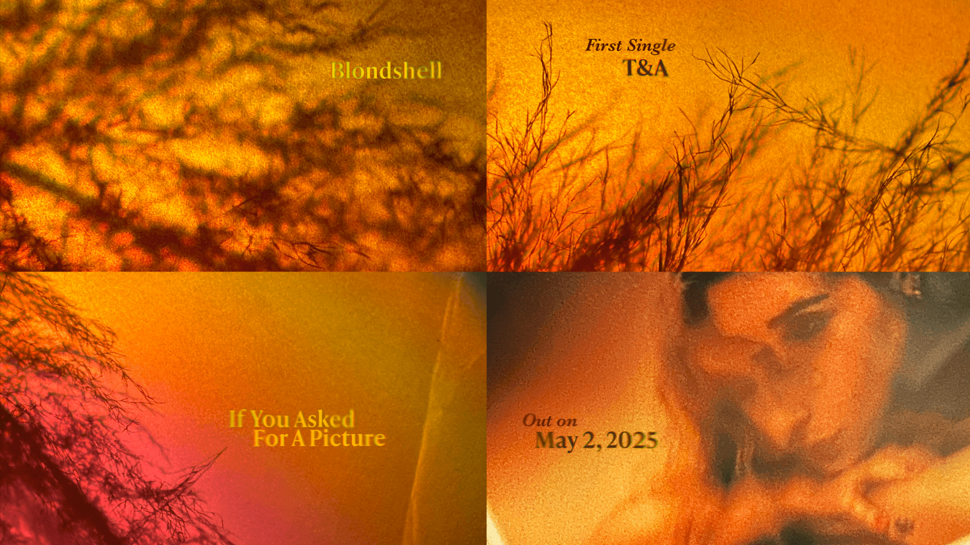 Four quadrants with warm, abstract images and text, including words like 'blondshell,' 'First Single T&A,' and 'May 2, 2025.'