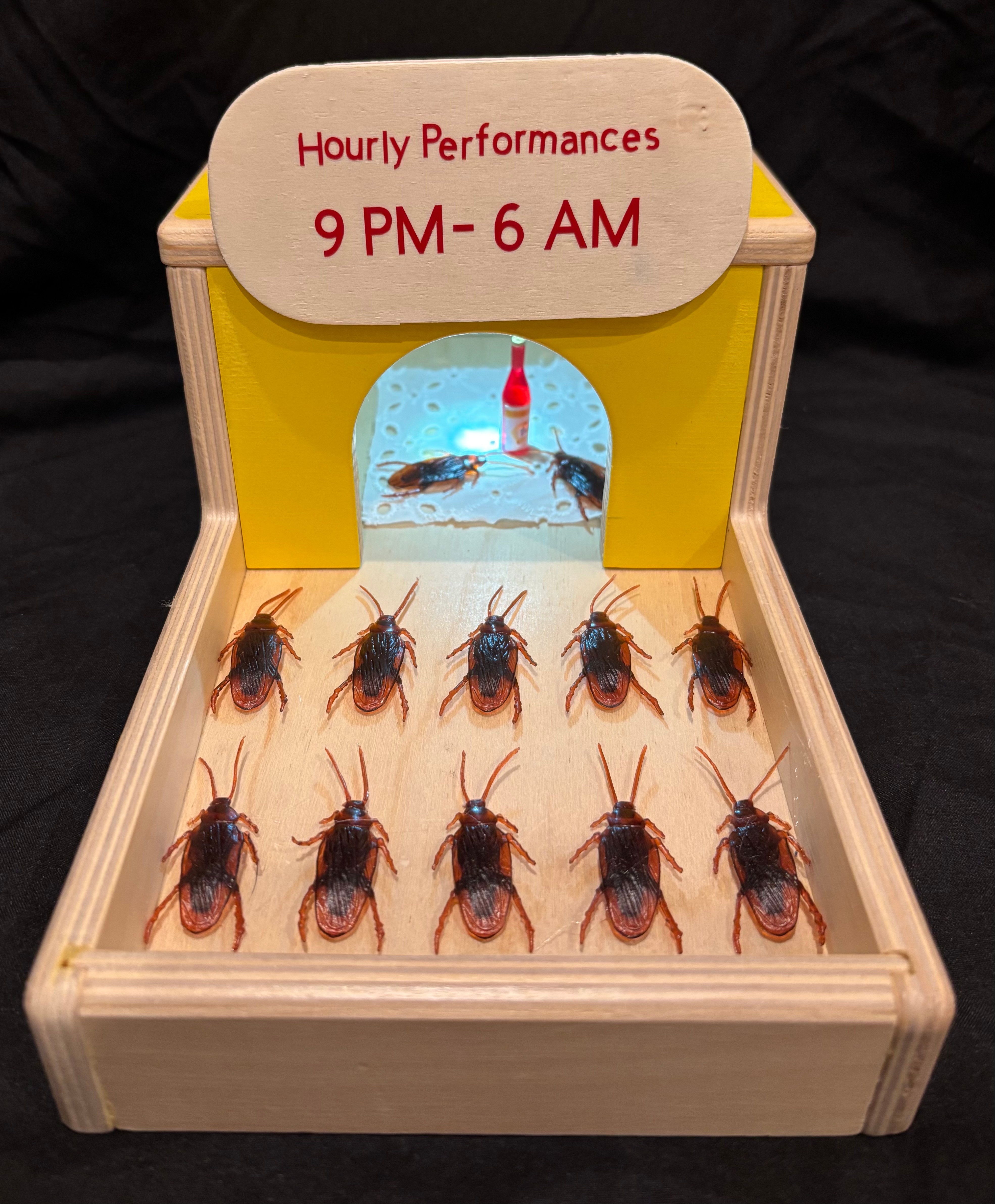 Display box with nine cockroaches and a sign indicating hourly performances from 9 PM to 6 AM. Word count: 24.