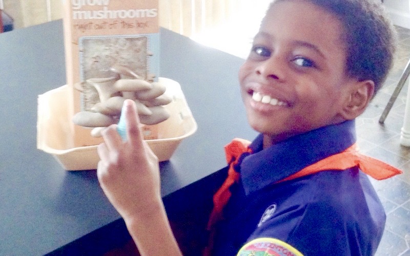 Young boy smiling, pointing at a mushroom growing kit on a table, wearing a blue shirt with an orange ribbon.