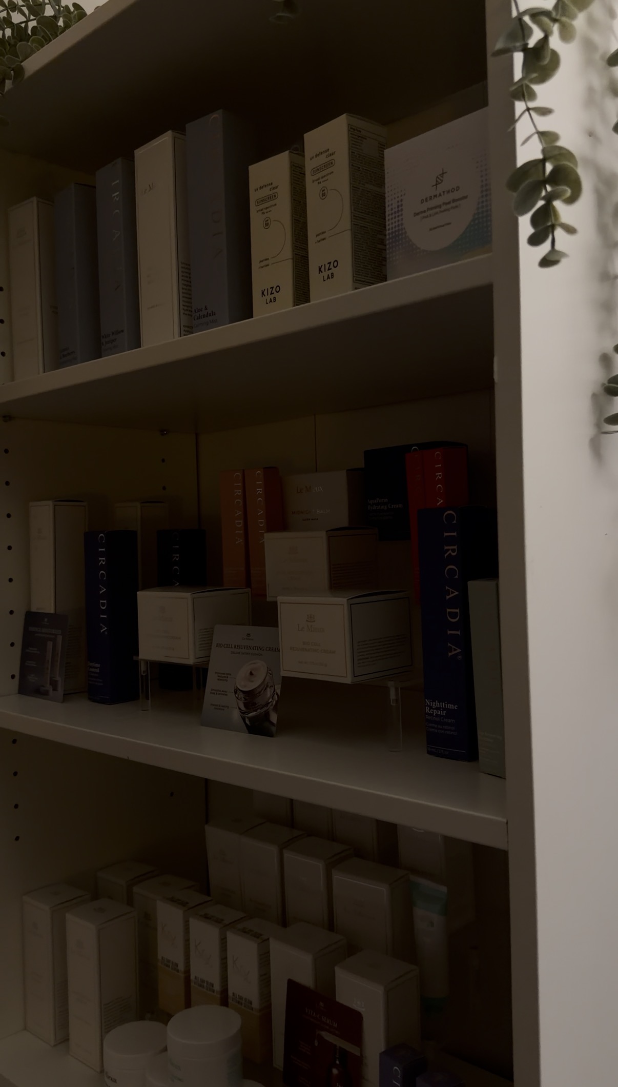 Bookshelves filled with books and boxes, with a plant hanging on the right side.