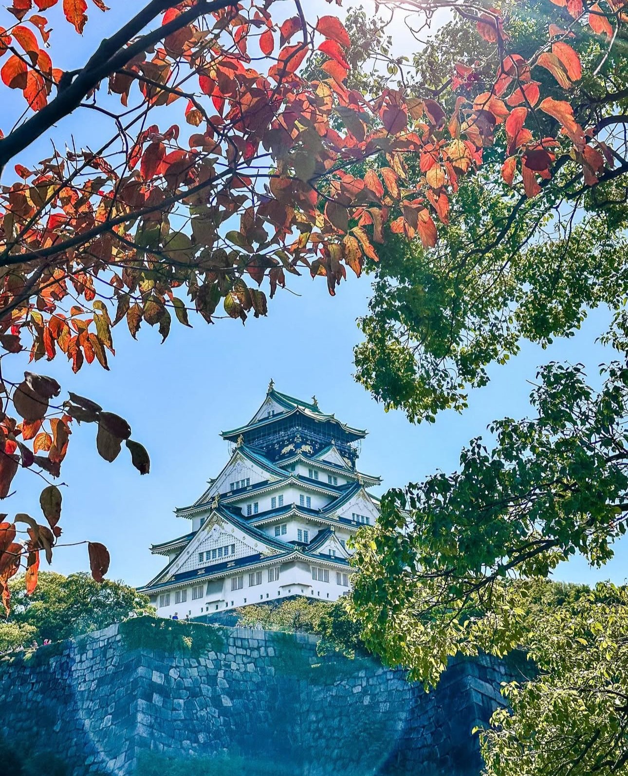 A traditional multi-story Japanese castle viewed through trees with red and green leaves, against a blue sky.