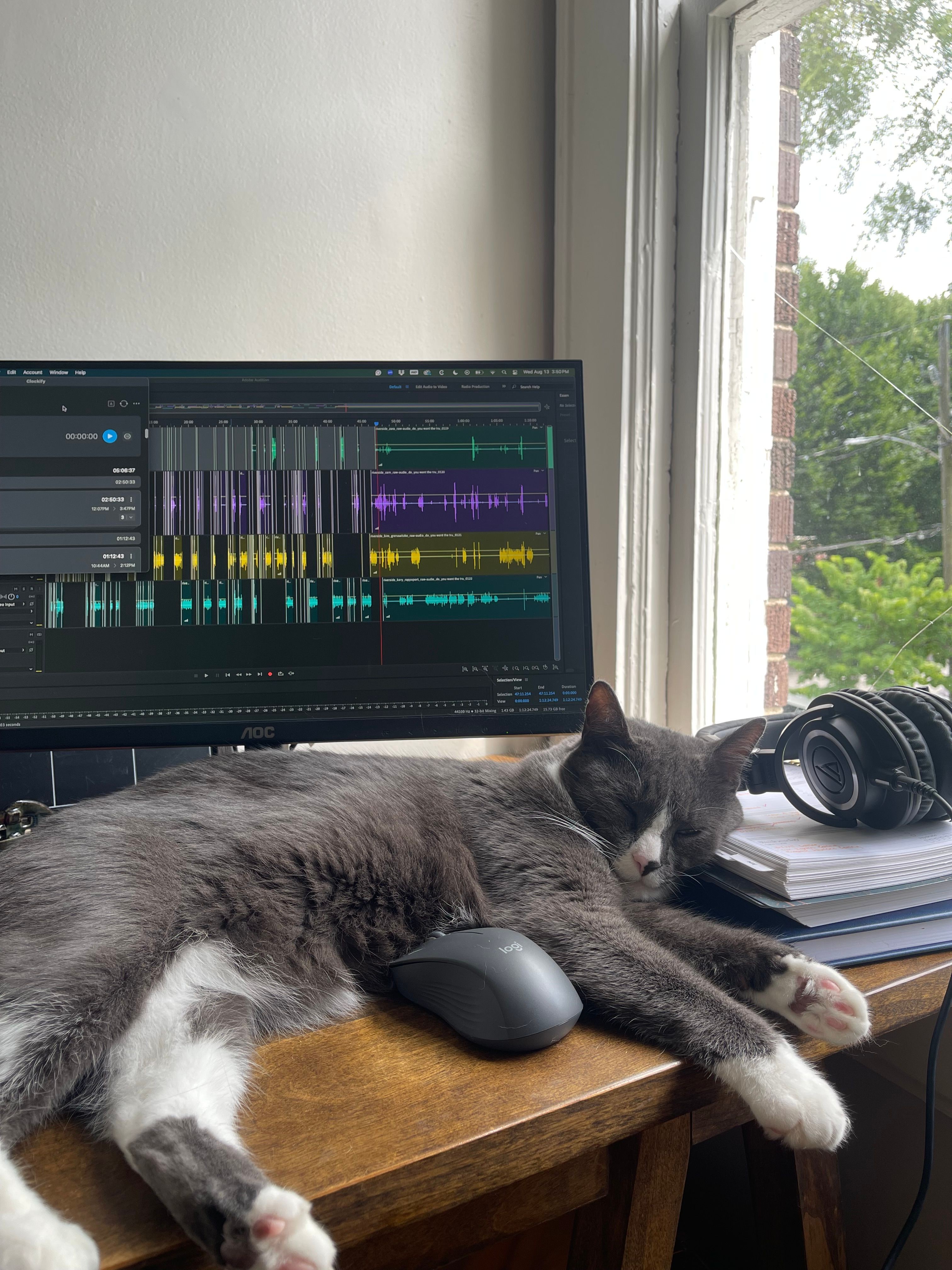 Gray and white cat lying on a wooden desk with headphones, next to a computer monitor displaying a music editing program, near a window.