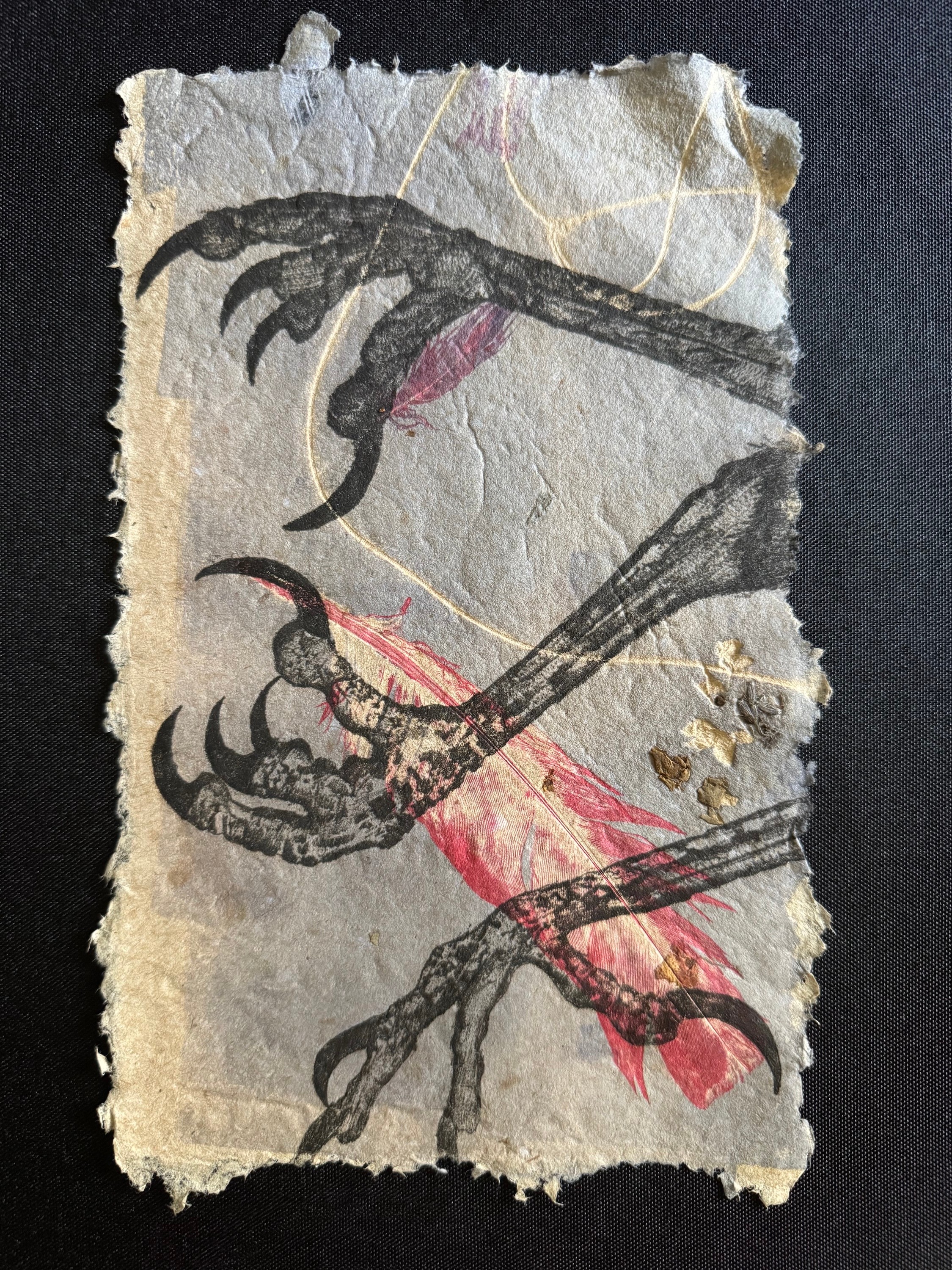 Drawing of a crab with a red body and black claws on torn, textured paper.