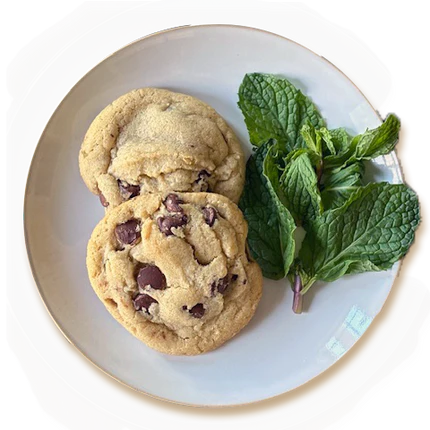 Two chocolate chip cookies and a bunch of mint leaves on a white plate against a black background.