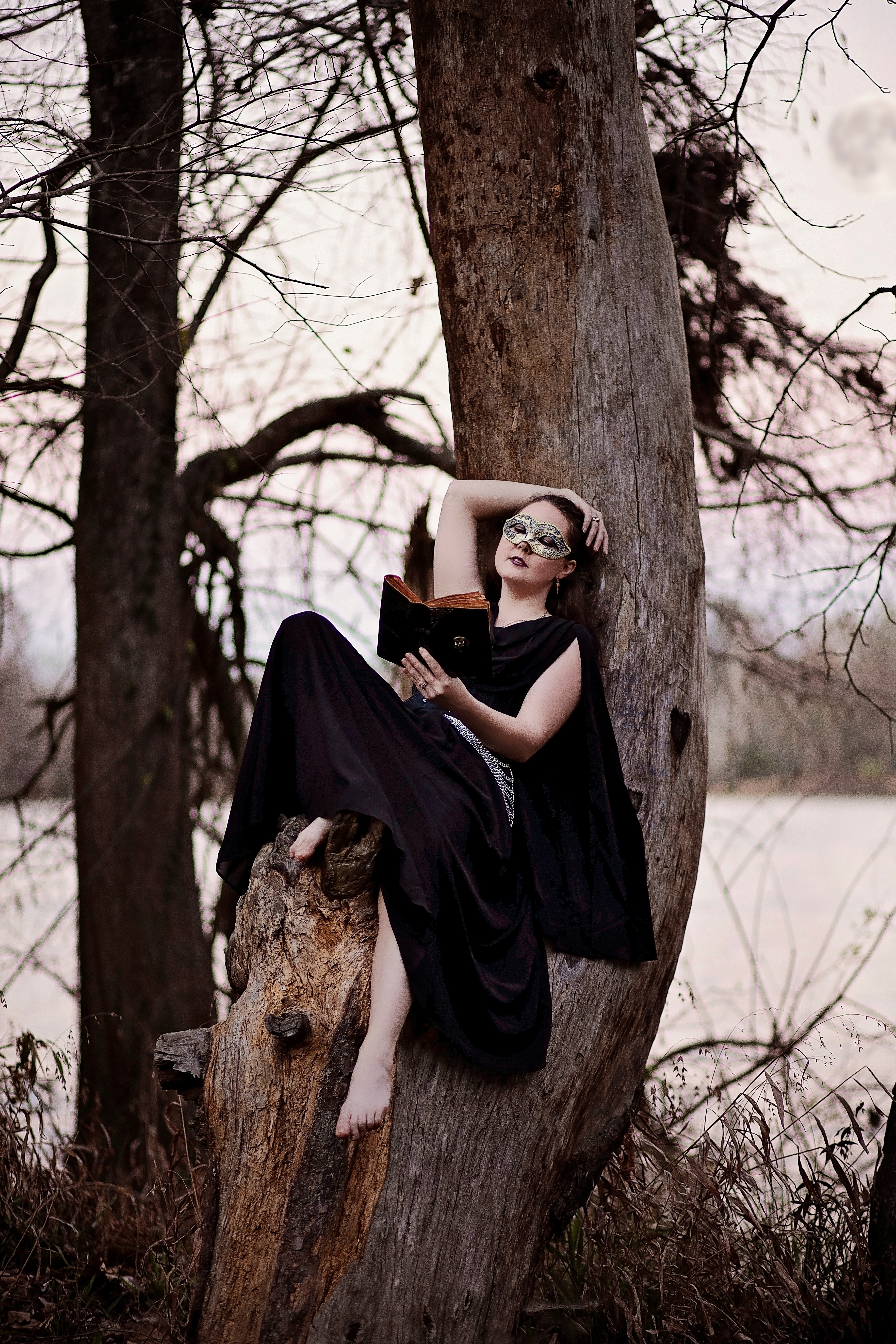 Woman in black dress reading a book while sitting on a tree branch outdoors, with bare trees in the background.