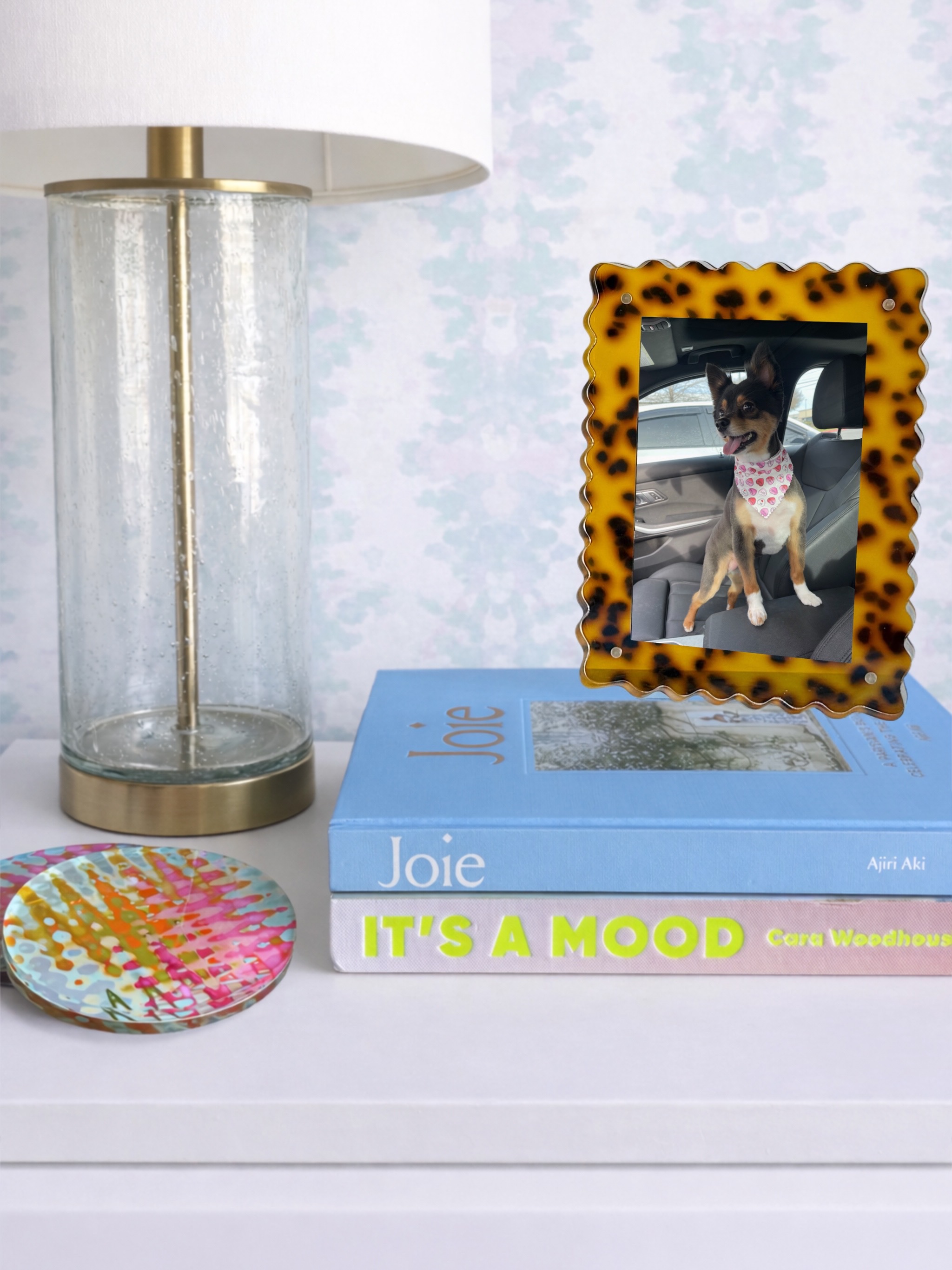 Decorative table with a lamp, a framed photo of a dog in a leopard print frame, and books, one titled 'IT'S A MOOD'.