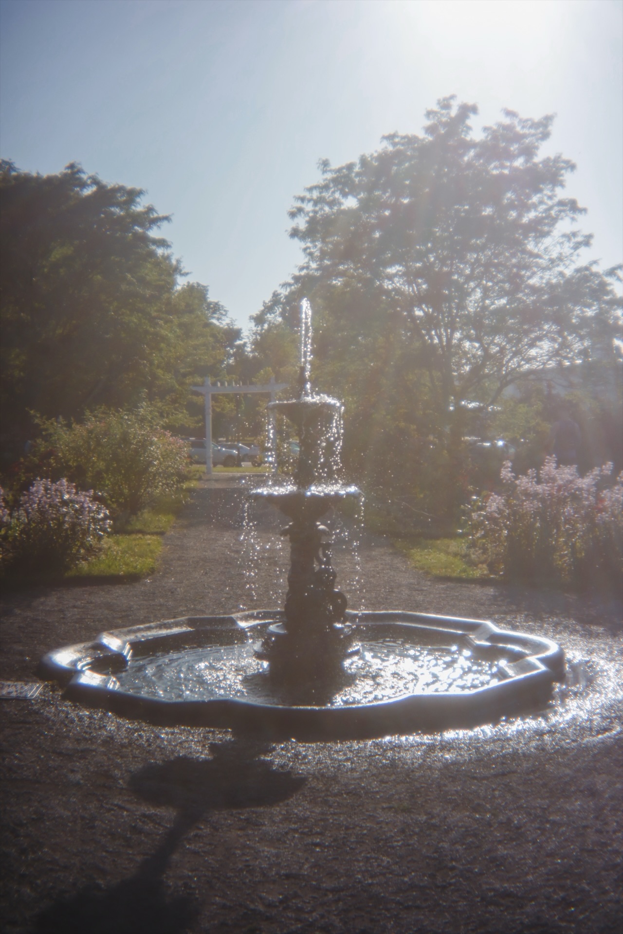 Fountain with water flowing, surrounded by trees and plants, under a clear sky.
