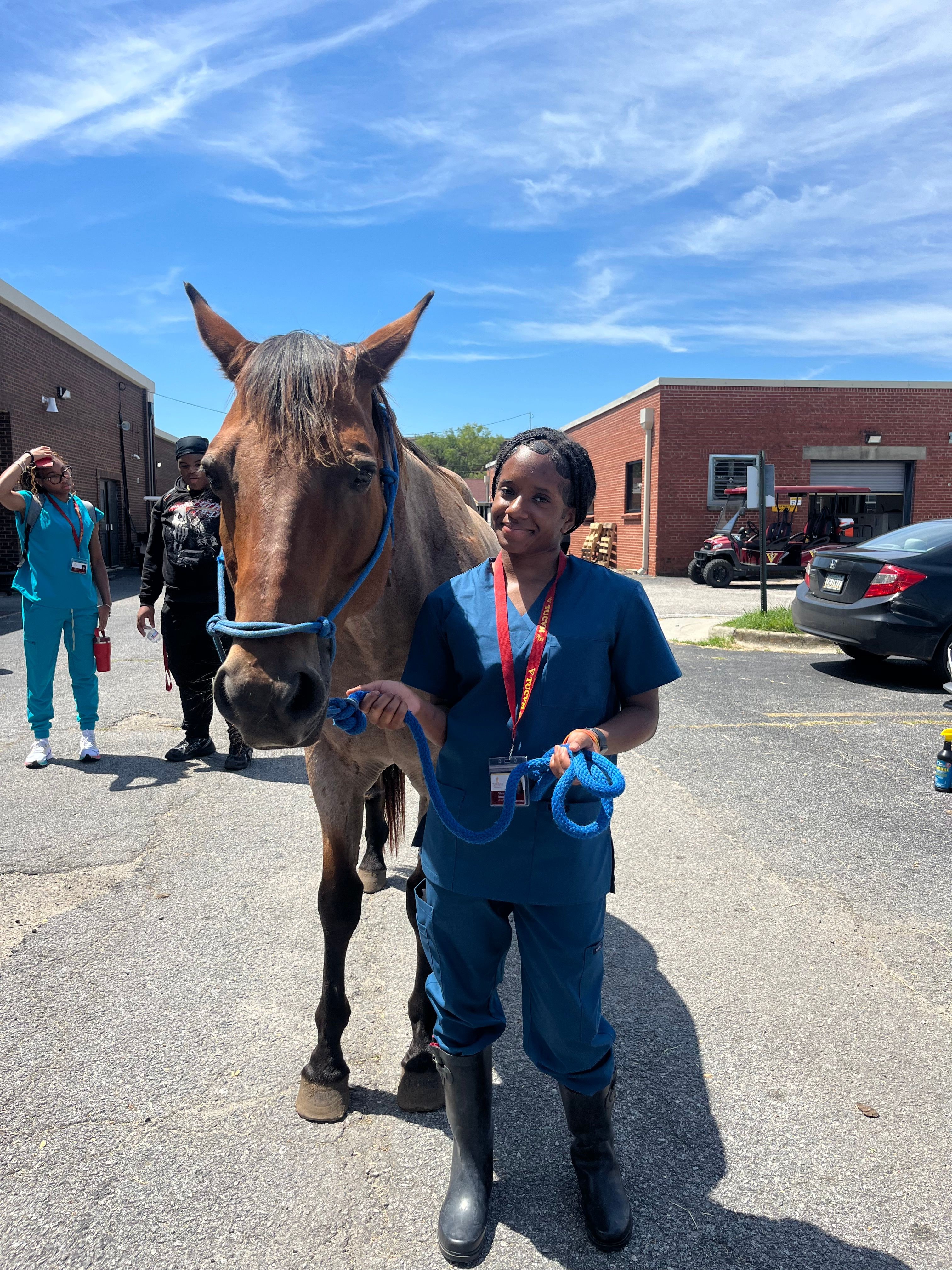Person standing next to a horse in an outdoor parking lot with buildings in the background.