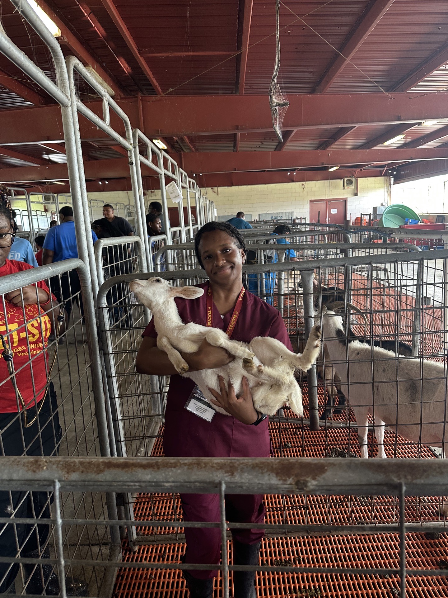 Person holding a small animal in a cage at an indoor animal facility with metal enclosures and other people in the background.
