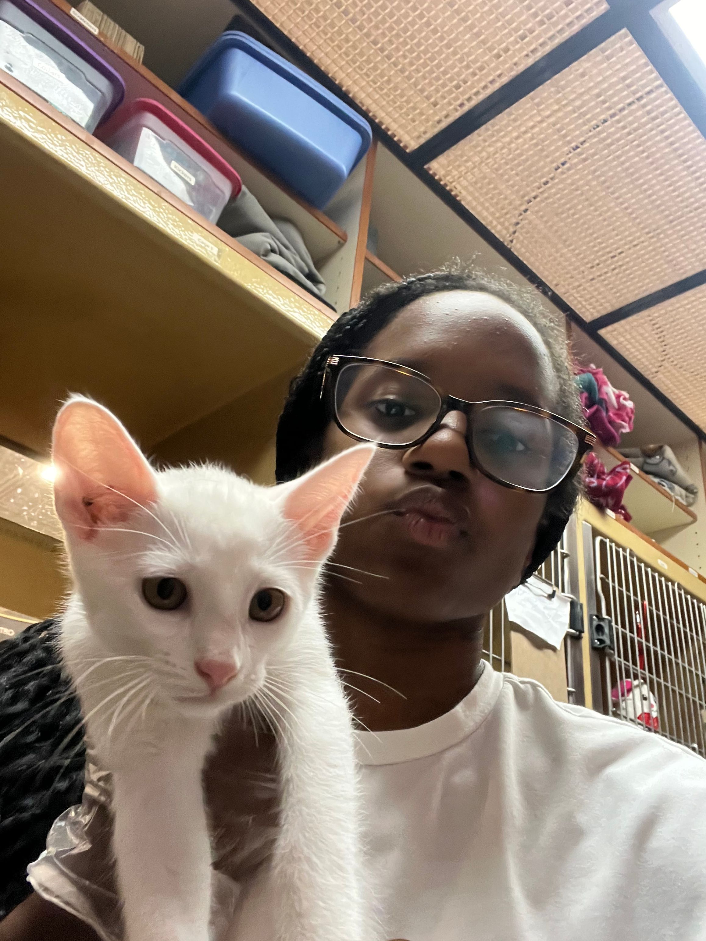 Person with glasses and dark hair taking a selfie with a white cat indoors.