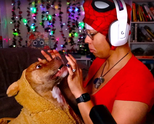 Person wearing a red shirt, glasses, and a Spider-Man hat interacts with a dog wrapped in a towel, in a decorated room.