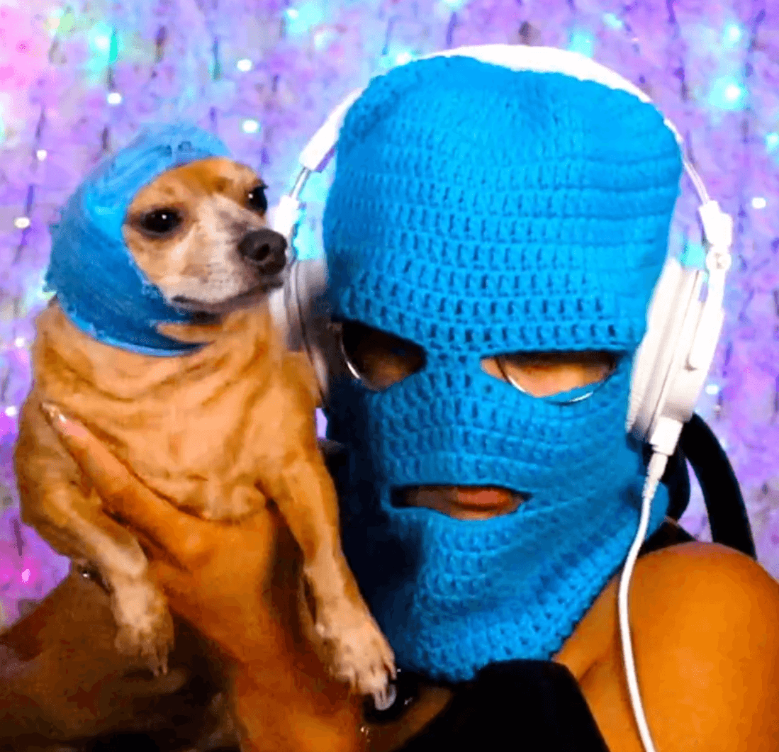 Person wearing a blue ski mask and headphones holds a small dog with a matching blue head covering, against a purple background.