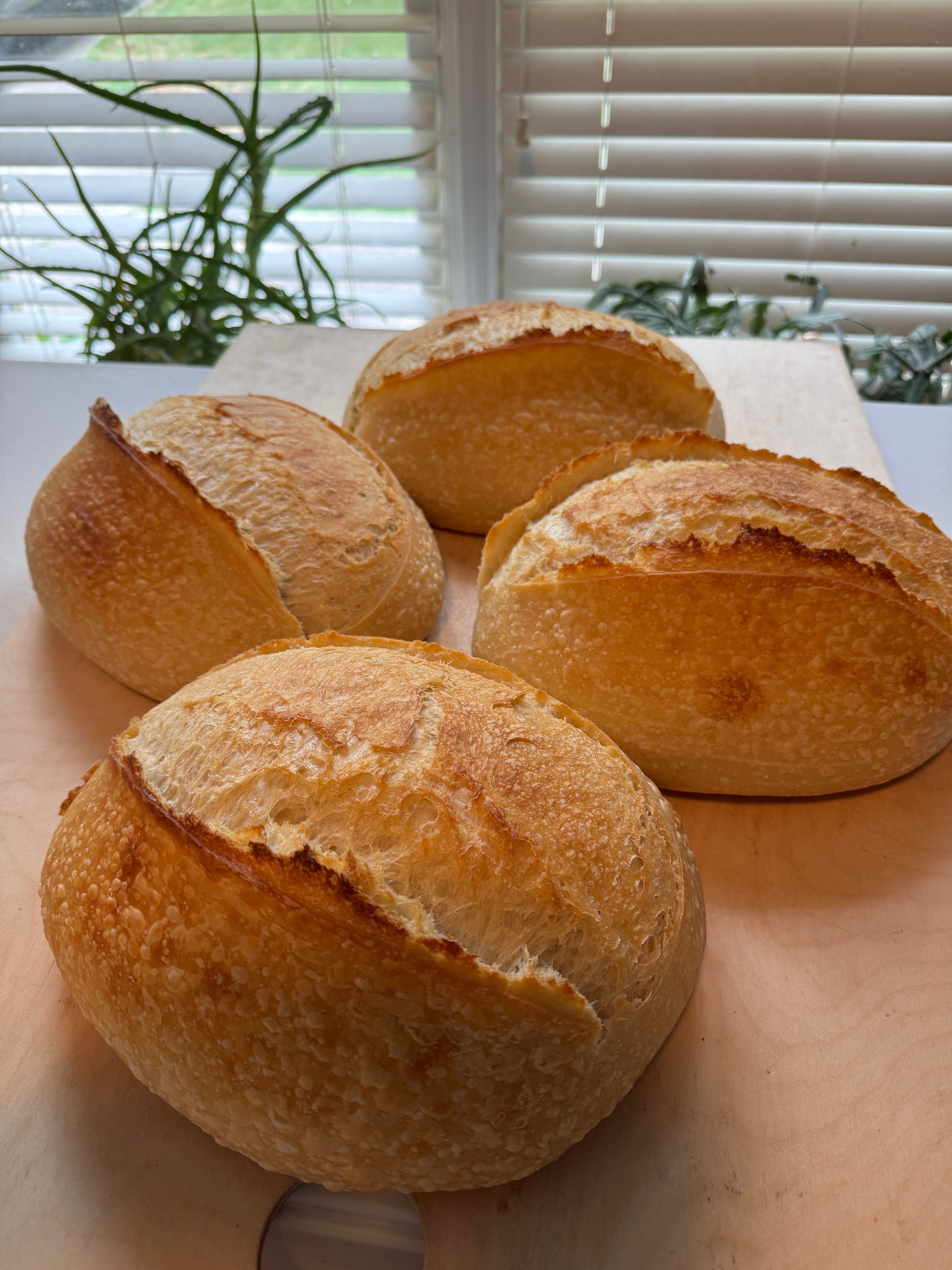 Four bread rolls on a wooden surface with a window and plant in the background.