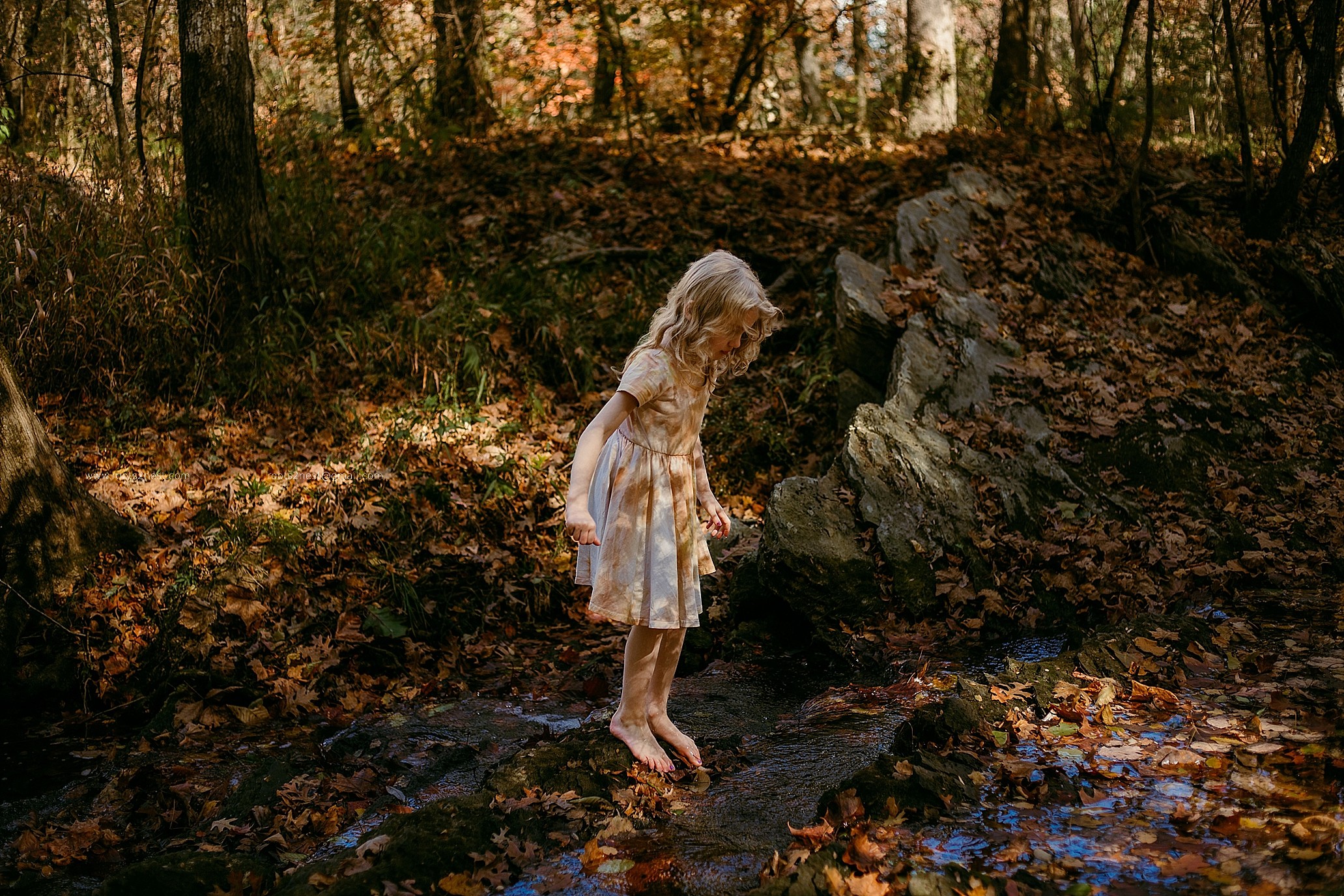 Child with long hair in a dress standing on a rock in a forest with fallen leaves.